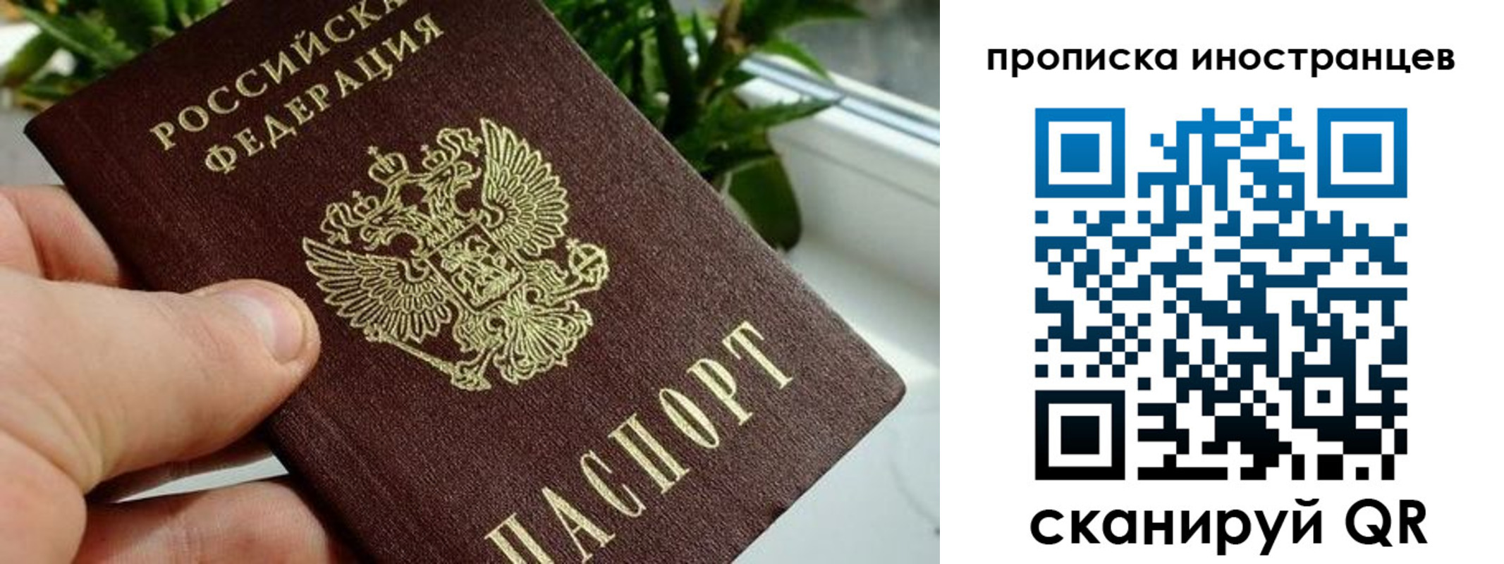 временная регистрация в Гаджиево
